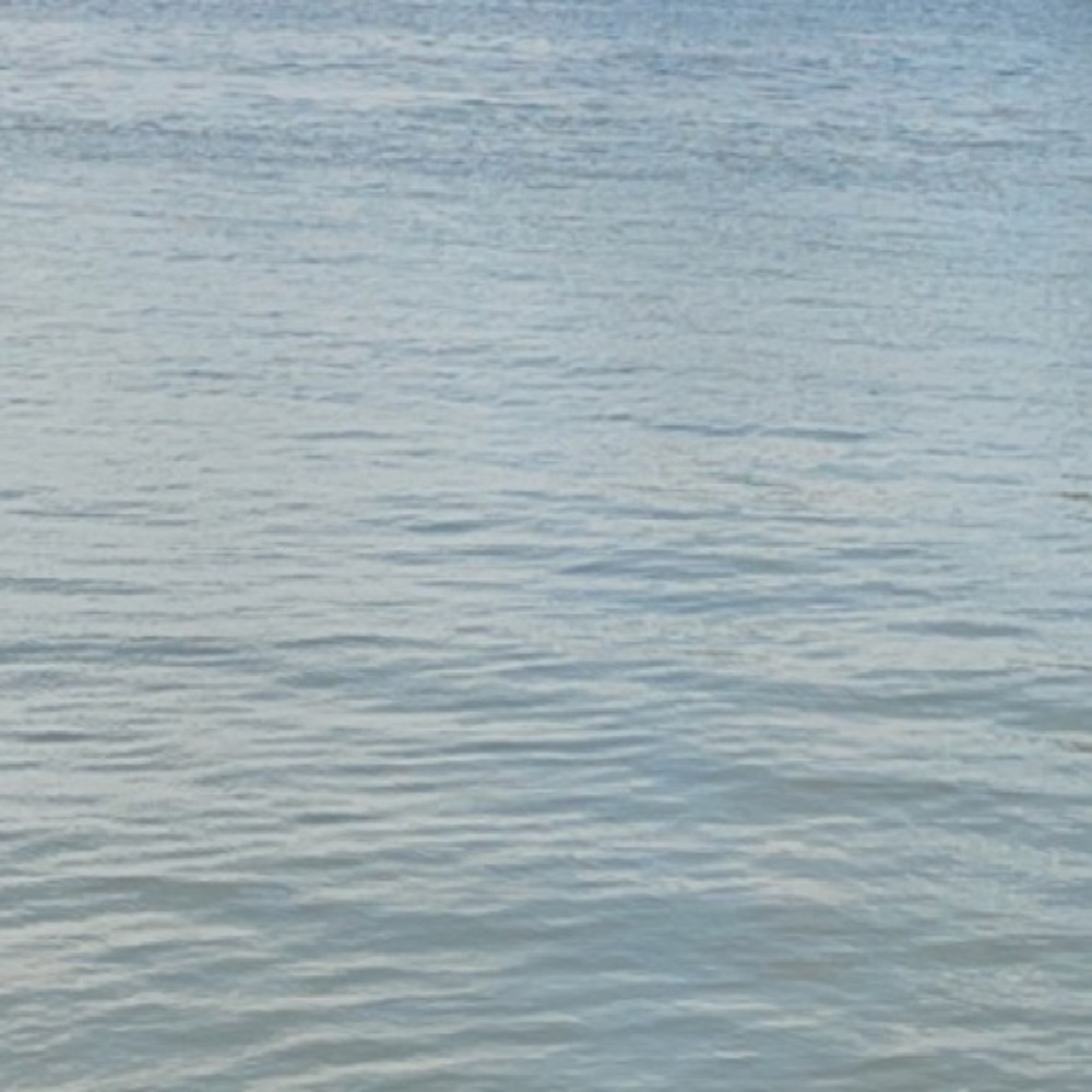 Meet your Posher, Elsie